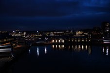 DSC01755.jpg