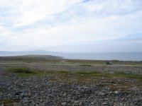 DSC01887.jpg