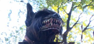 WerewolfMuzzle.jpg
