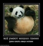 image.jpeg