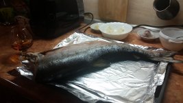20160308_142412.jpg