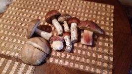 20160613_183744.jpg