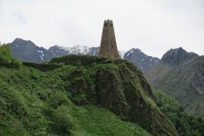IMG_7953.jpg