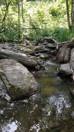 20160613_104317.jpg
