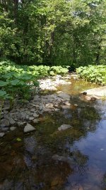 20160613_104322.jpg