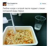 8274557.jpg
