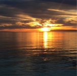 IMG_8535.JPG