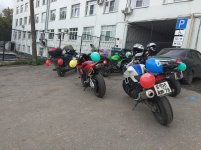 IMG_4246.jpg