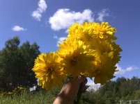 IMG_20160808_131557.jpg