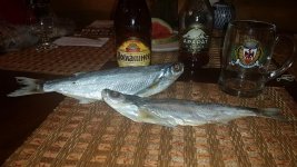 20161223_222614.jpg