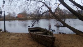 WP_20131102_004.jpg