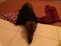 IMG_1644.jpg