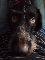 IMG-20160101-WA0001.jpg