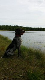 IMG-20160110-WA0003.jpg