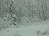 DSC01476.jpg