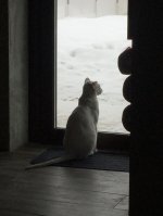 IMG_8573.JPG