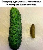 tapatalk_1488568725390.jpeg