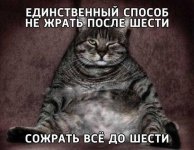 жрать.jpg