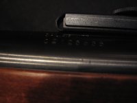 IMG_0576.JPG IMG_0576.JPG