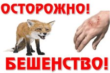 beshen0.jpg