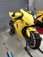 yELLOW.jpg yELLOW.jpg