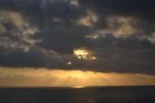 DSC_0345.jpg