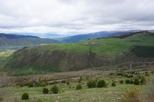 DSC00156.jpg