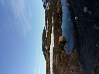 20170702_203938.jpg