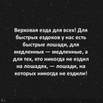 10062939.jpg
