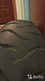 3485716361.jpg