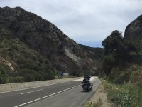 IMG_2138.jpg