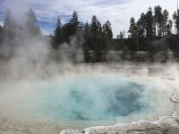 IMG_4547.jpg