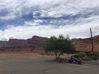 IMG_2919.jpg