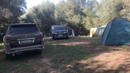 IMG_2477.jpg