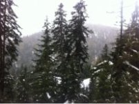 IMG_6436-23-04-18-07-04.jpg