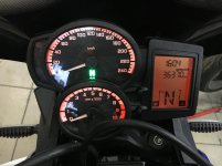 IMG_8748.jpg