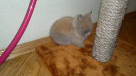 11032011229.jpg