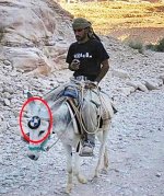 BMW_donkey.jpg