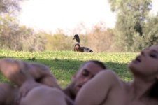 goose.jpg