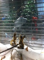 IMG-20121223-WA0000.jpg