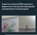 скрепки.jpg