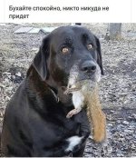 9418A6B1-5E2E-43BE-9F54-95FE620EA785.jpeg