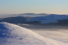IMG_5987.JPG
