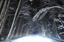 DSC_0452.JPG