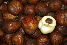 snakefruit.jpg