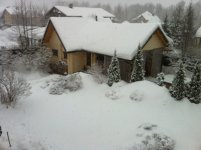 ImageUploadedByTapatalk1359991892.732631.jpg