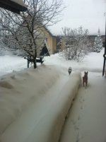 ImageUploadedByTapatalk1359991928.689553.jpg