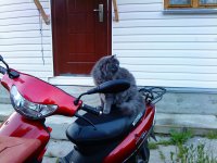 DSC00140.JPG