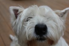 IMG_2221.JPG