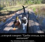ImageUploadedByTapatalk HD1362214806.659308.jpg